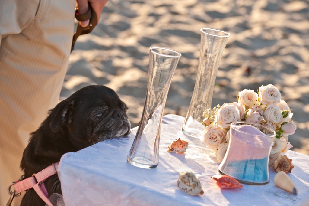 Francine & Roberto - Dog Beach - Coronado