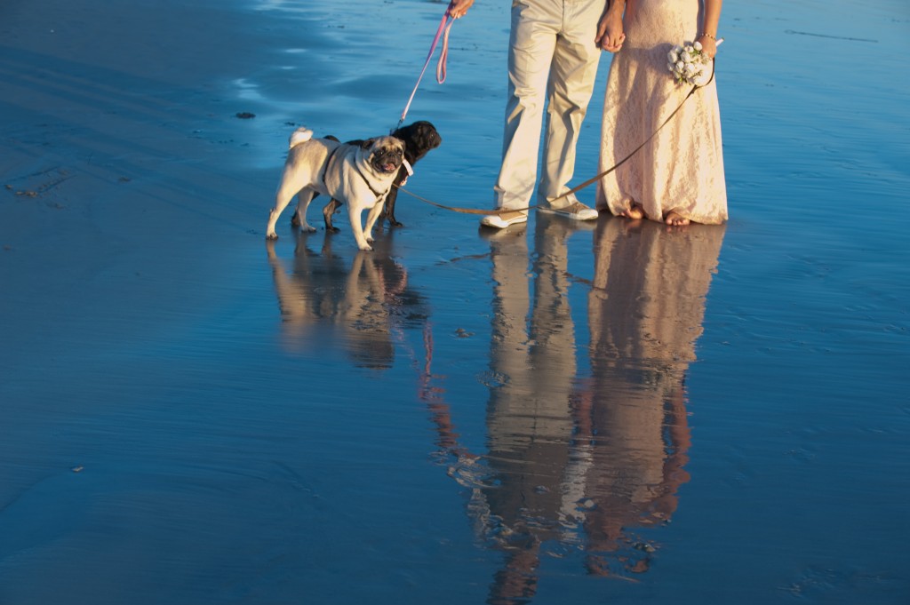 Francine & Roberto - Dog Beach - Coronado