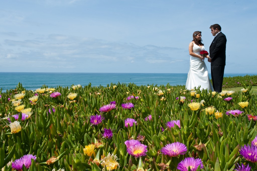 Regina & Phillip Wedding - L'Auberge in Del Mar, CA - Seagrove Park